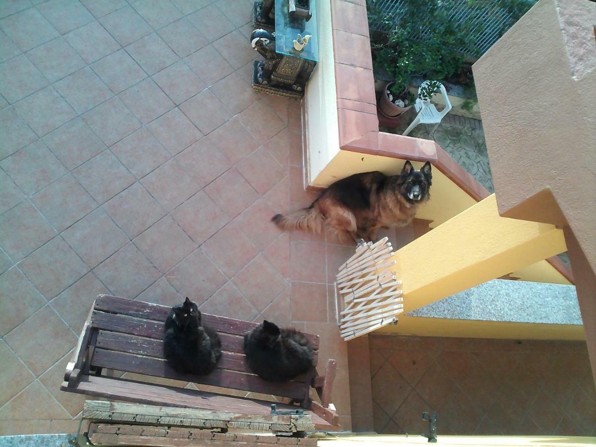 B&B Villa Sul Golfo Quartu SantʼElena Esterno foto